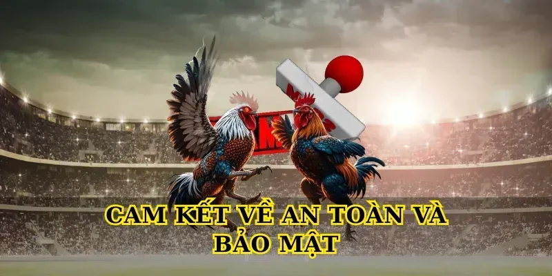 Cam Kết Về An Toàn Và Bảo Mật